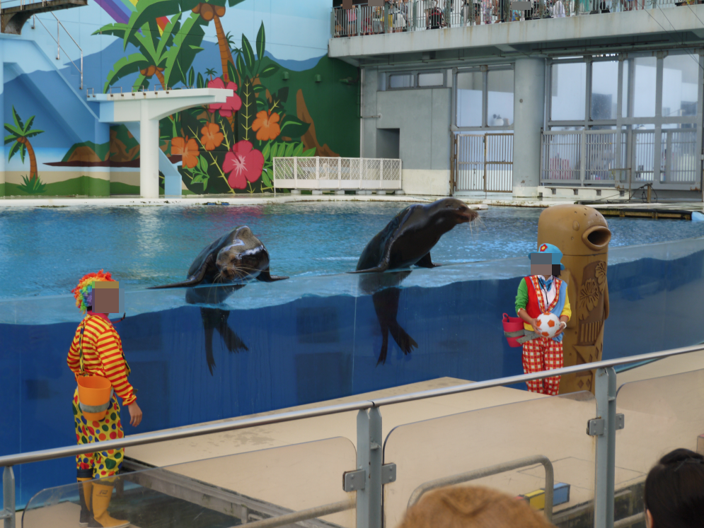 家族で水族館・八景島シーパラダイス訪問 ずぶ濡れイベント体験レポ
