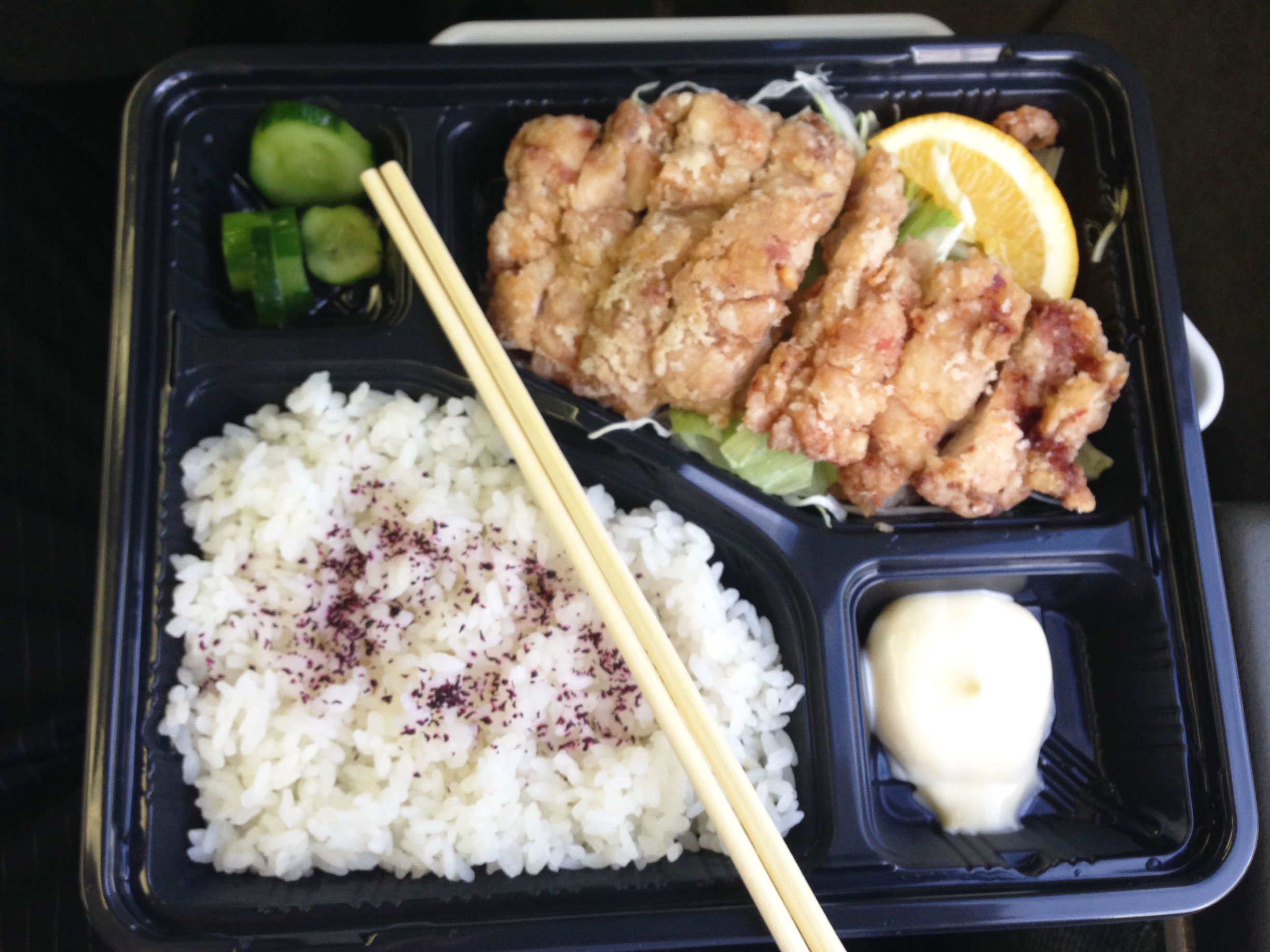 松本駅内お勧め駅弁 長野名物山賊焼き弁当 を紹介 電車の中で食べてみよう