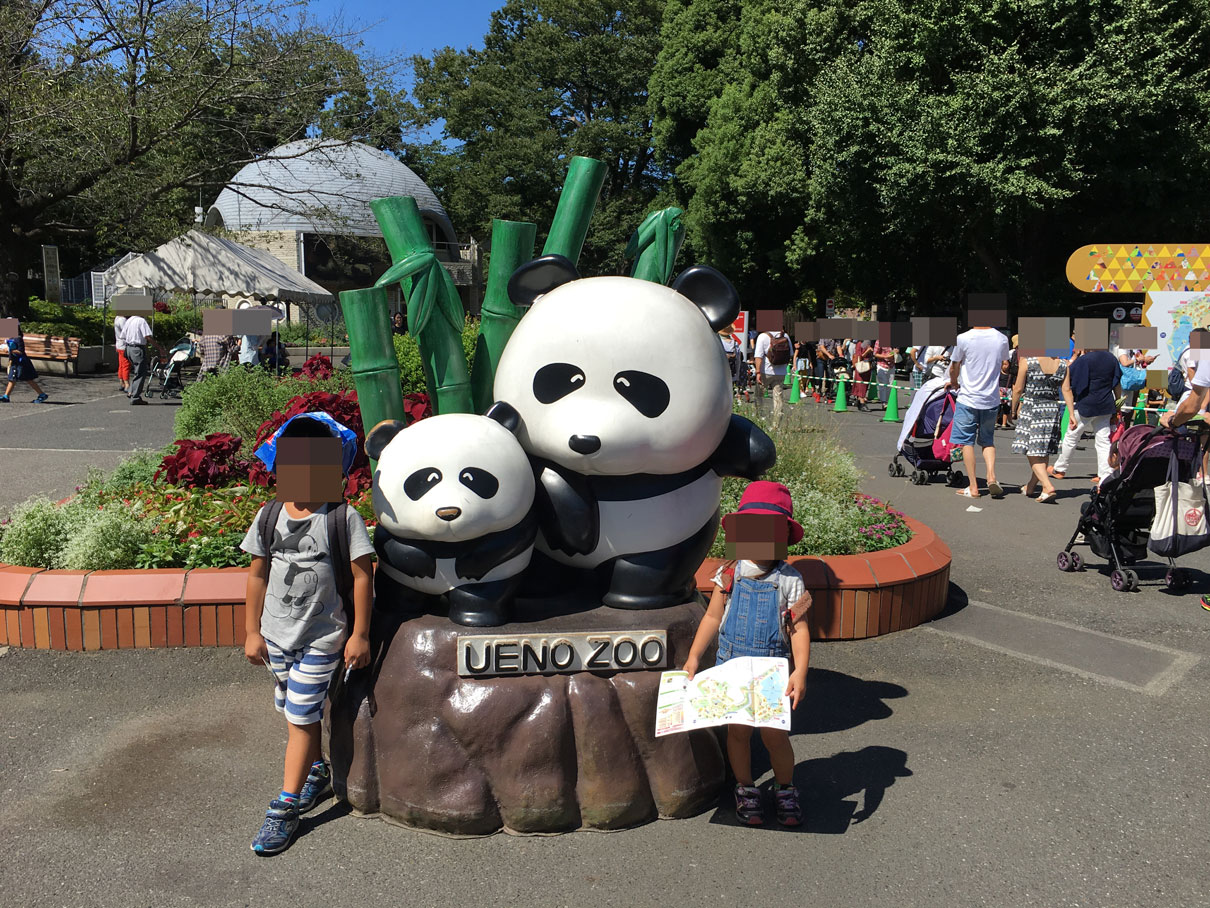 上野動物園土日パンダ混雑状況 待ち時間現地レポ 餌やり時間が狙い目