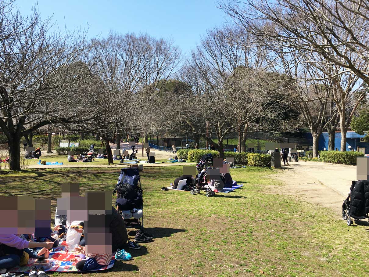 千葉市動物公園はお弁当 飲み物持ち込みok 芝生広場 レジャーシート活用