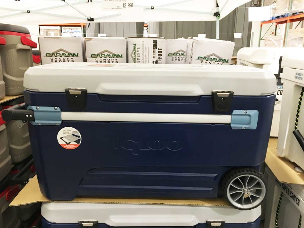 コストコのクーラーボックス種類・価格一覧をご紹介。アウトドアに大活躍