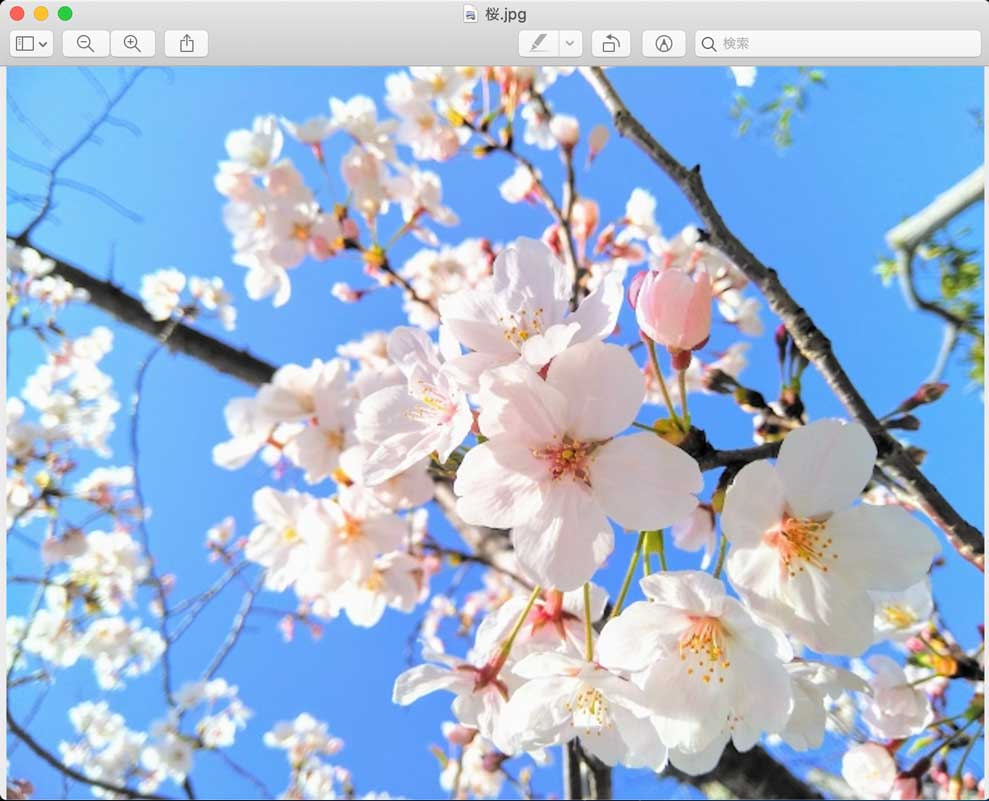 写真 画像を無料でモノクロ 白黒 加工する方法 Mac実践手順